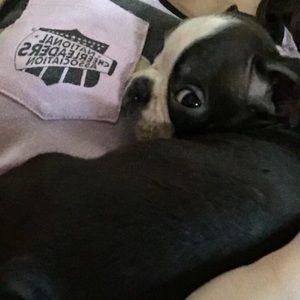 Meet your Posher, Jill